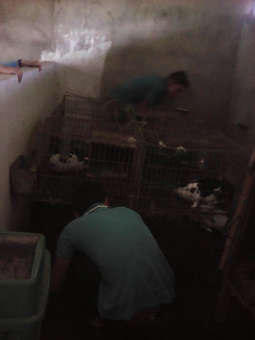 realizar modificaciones