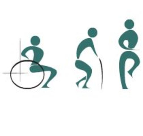 CONSOLIDACIÓN PROFESIONAL 1973-actualmente