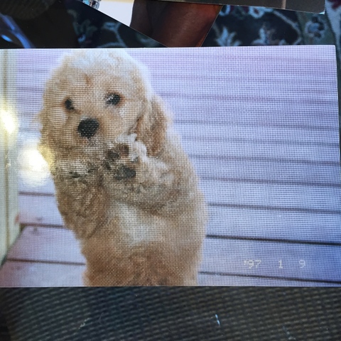 1st Birthday present