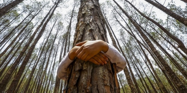 Se establece el grupo de enlace mixto