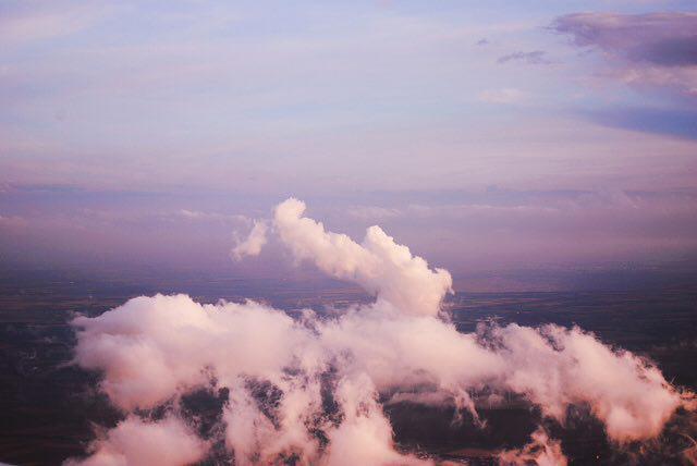 Evolución de la Paz Social