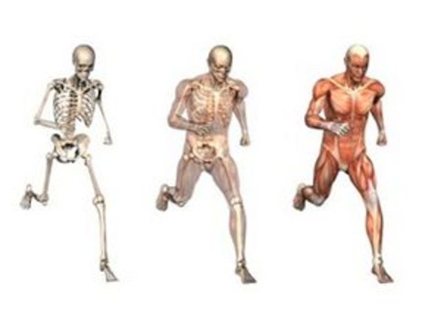 Desarrollo teórico del movimiento corporal