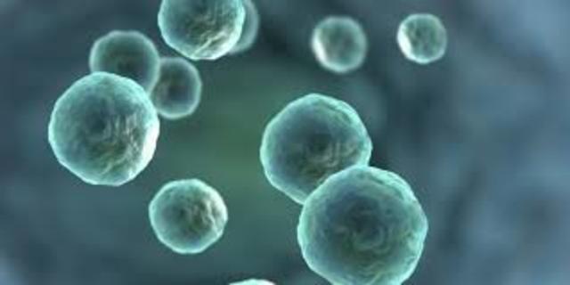 Ingeniería Genética