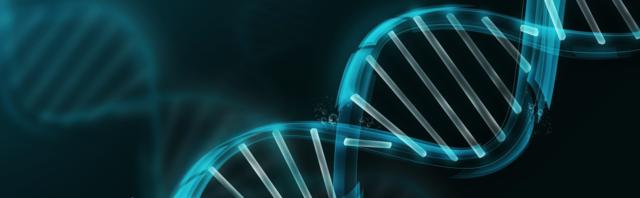 Pruebas Genétiicas