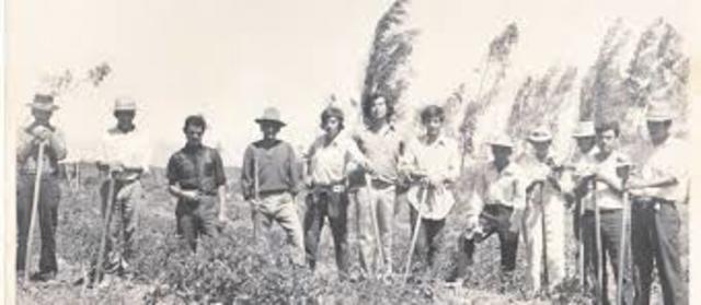 EVOLUCION CONSTITUCIONAL