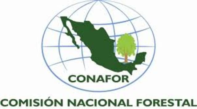 MEMORÁNDUM DE ENTENDIMIENTO SOBRE COOPERACIÓN EN FORESTACIÓN, REFORESTACIÓN Y BIOENERGÍA DE LOS RECURSOS FORESTALES ENTRE EL MINISTERIO DE AMBIENTE, TIERRA Y MAR DE LA REPÚBLICA DE ITALIA Y LA CONAFOR