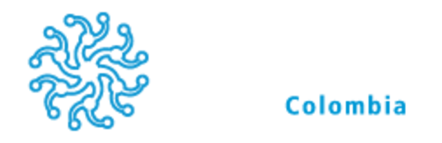 Programas en TIC del MEN