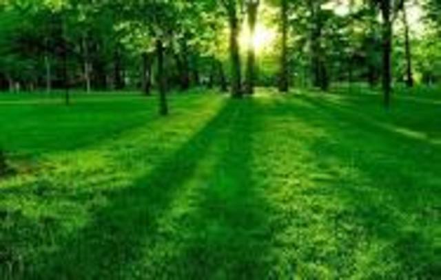 CUMBRE DE LA TIERRA DE RIO DE JANEIRO