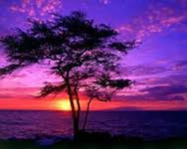 OBJETIVOS DE DESARROLLO SOSTENIBLE