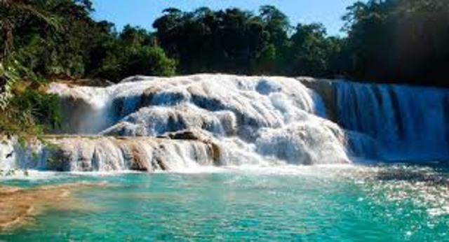 PRIMERA CONFERENCIA REGIONAL DE LA ALIANZA DE SERVICIOS ECOSISTÉMICOS EN LATINOAMÉRICA Y EL CARIBE - COLOMBIA