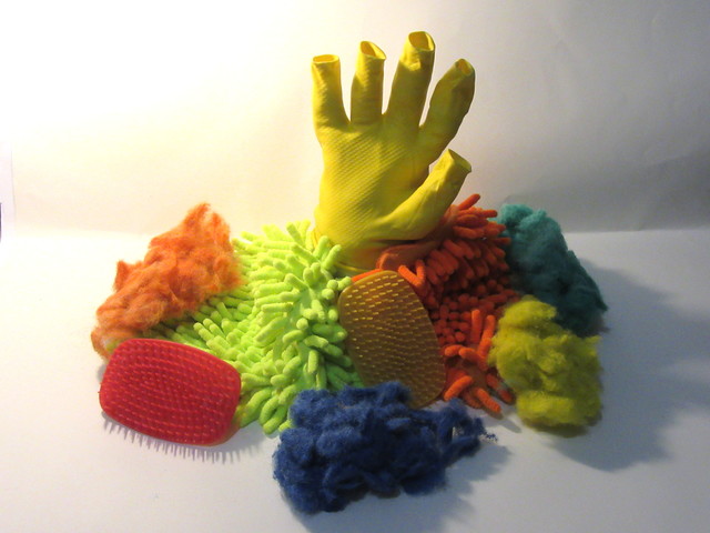 spongia attachiamenta