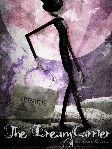 The Book Kleptomaniac