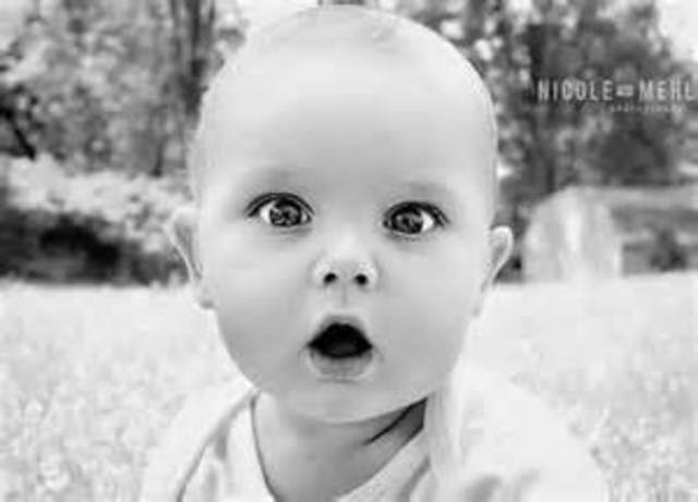 the hole puncher computer