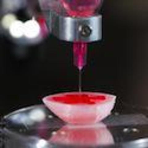 UN RIÑÓN 3D EN FUNCIONAMIENTO