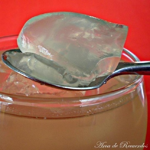 François Magendie (1815)