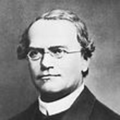Gregor Mendel