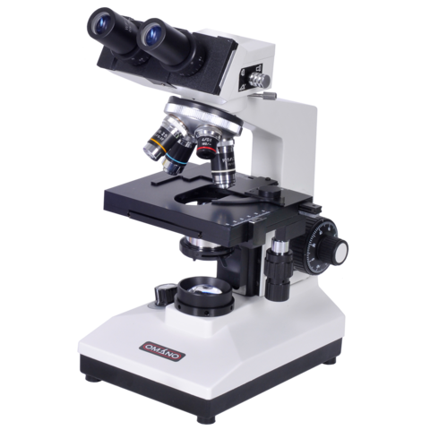 Invention of the Microscope