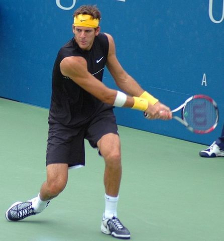 Juan Martín del Potro