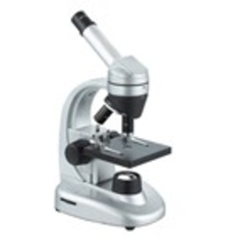 Anthony Van Leeuwenhoek