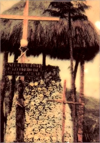 Batalla de Palonegro