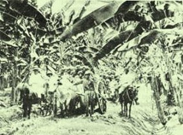 La Masacre de las Bananeras