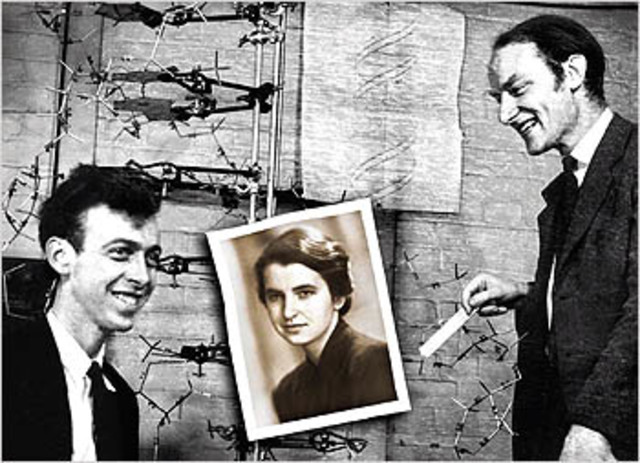 La estructura de la vida