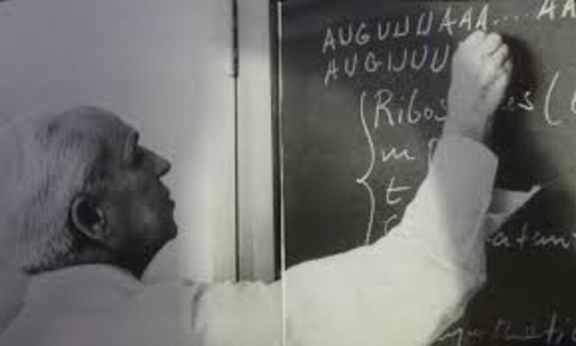 El abecedario genetico