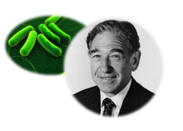 Y se hizo la ingenieria genetica