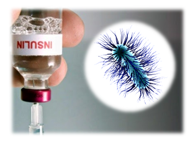 Insulina bacteriana