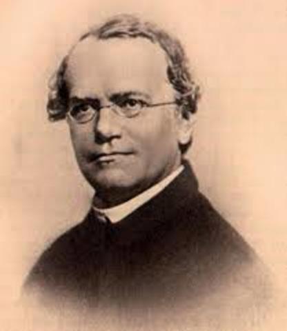 Principios Fundamentales de la Genética