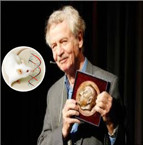 El primero de muchos