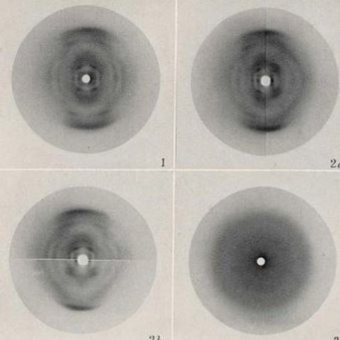 ADN presenta estructura regular.
