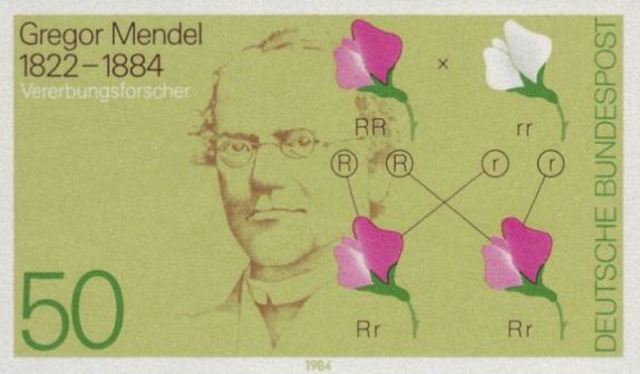 Leyes de la Herencia.