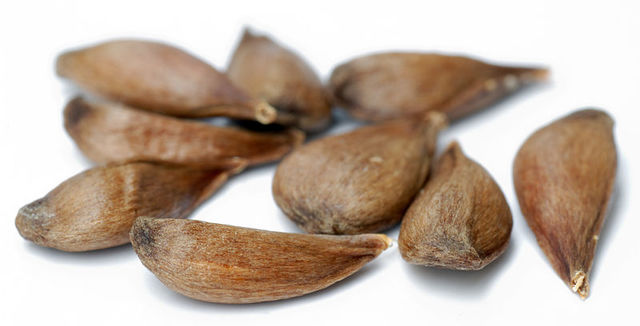 Save the seeds to plant another apple tree!