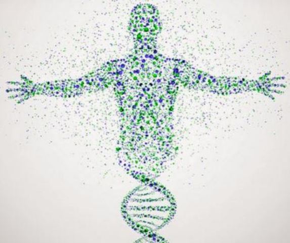 Funcionamiento biológico y químico del ADN.