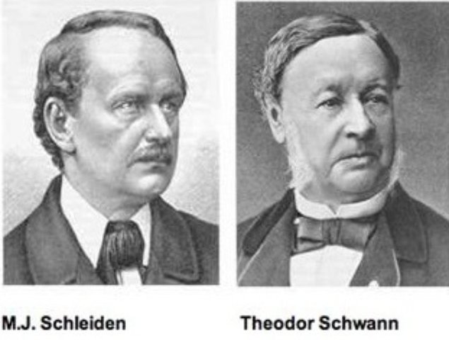 Mathias Schleiden y Theodor Schwann postulan "La teoría Celular"