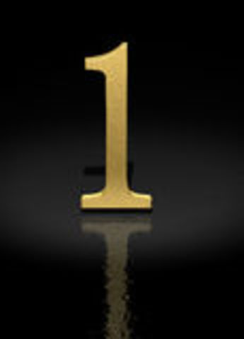 The First Gifted School System