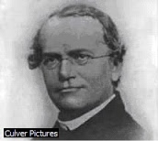 Gregor Mendel