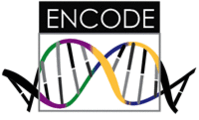 Finaliza el proyecto ENCODE