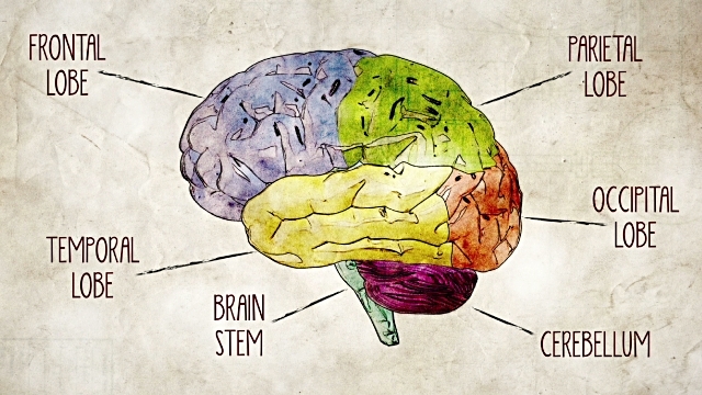 Inferior Intelligences are Idenfitied