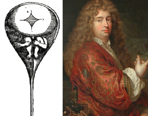 Nicolás Hartsocker propuso la teoría del homúnculo