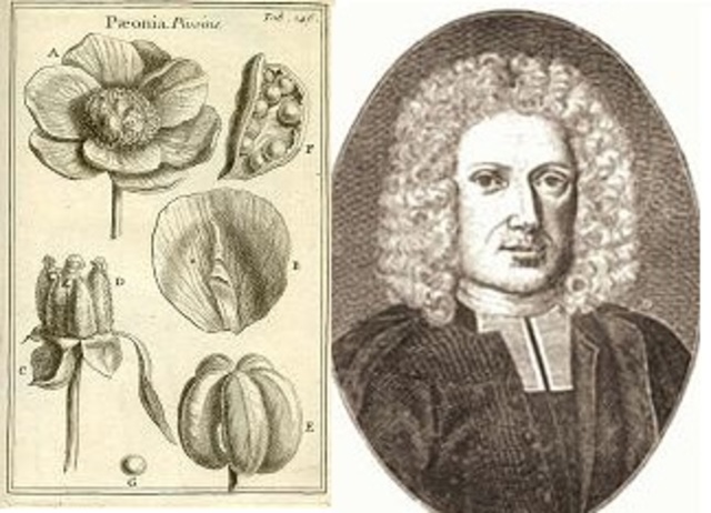 Rudolf Jakob Camerarius confirma la reproducción sexual en las plantas