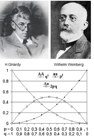 Ley de Hardy-Weinberg