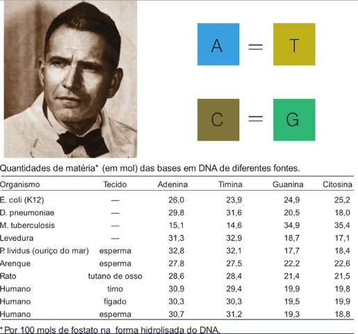 Erwin Chargaff Nucleotidos