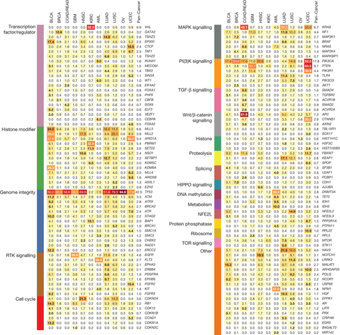 Secuenciacion del Genoma del cancer