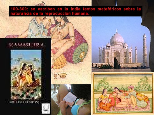 Reproducción humana.