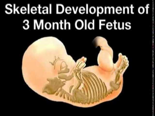 Three months pregnant.