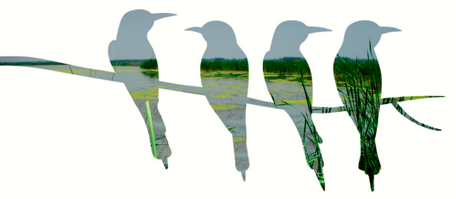 Convención entre los estados unidos mexicanos y los estados unidos de América para la protección de aves migratorias y de mamíferos cinegéticos