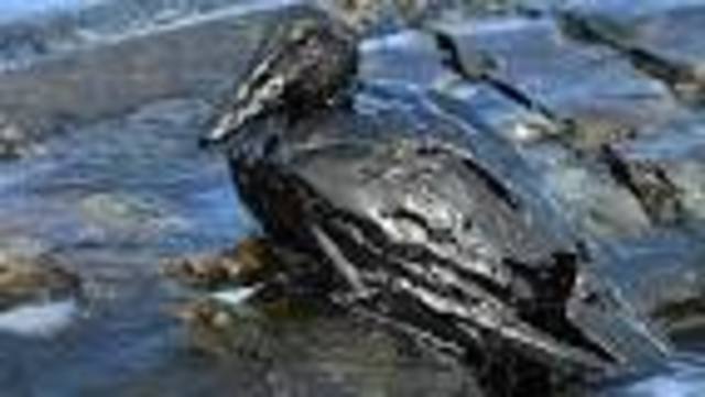 Acuerdo de Cooperación entre los Estados Unidos Mexicanos y los Estados Unidos de América sobre la Contaminación del Medio Marino por Derrames de Hidrocarburos y Otras Sustancias Nocivas, firmado en Ciudad de México