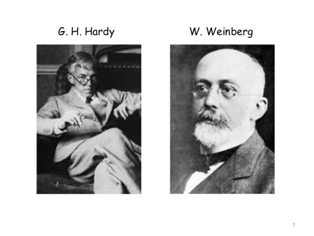 Establecimiento de modelos matemáticos de las frecuencias génicas en poblaciones mendelianas.